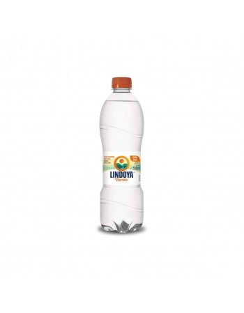 AGUA LINDOYA GÁS 12X510ML